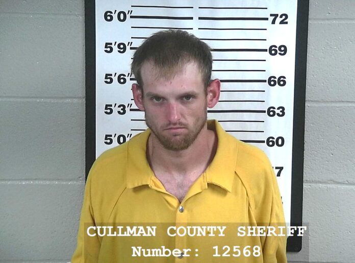 Chandler Reece Knowles (2021 mugshot/Cullman County Sheriff’s Office)