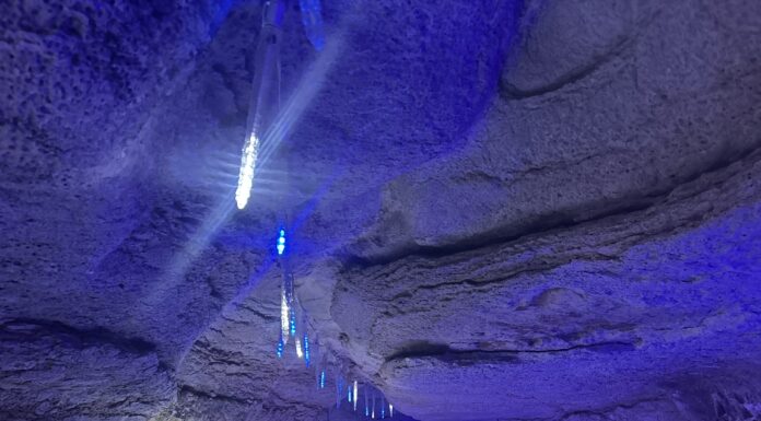Explore Wonderland Under Warrior at Rickwood Caverns