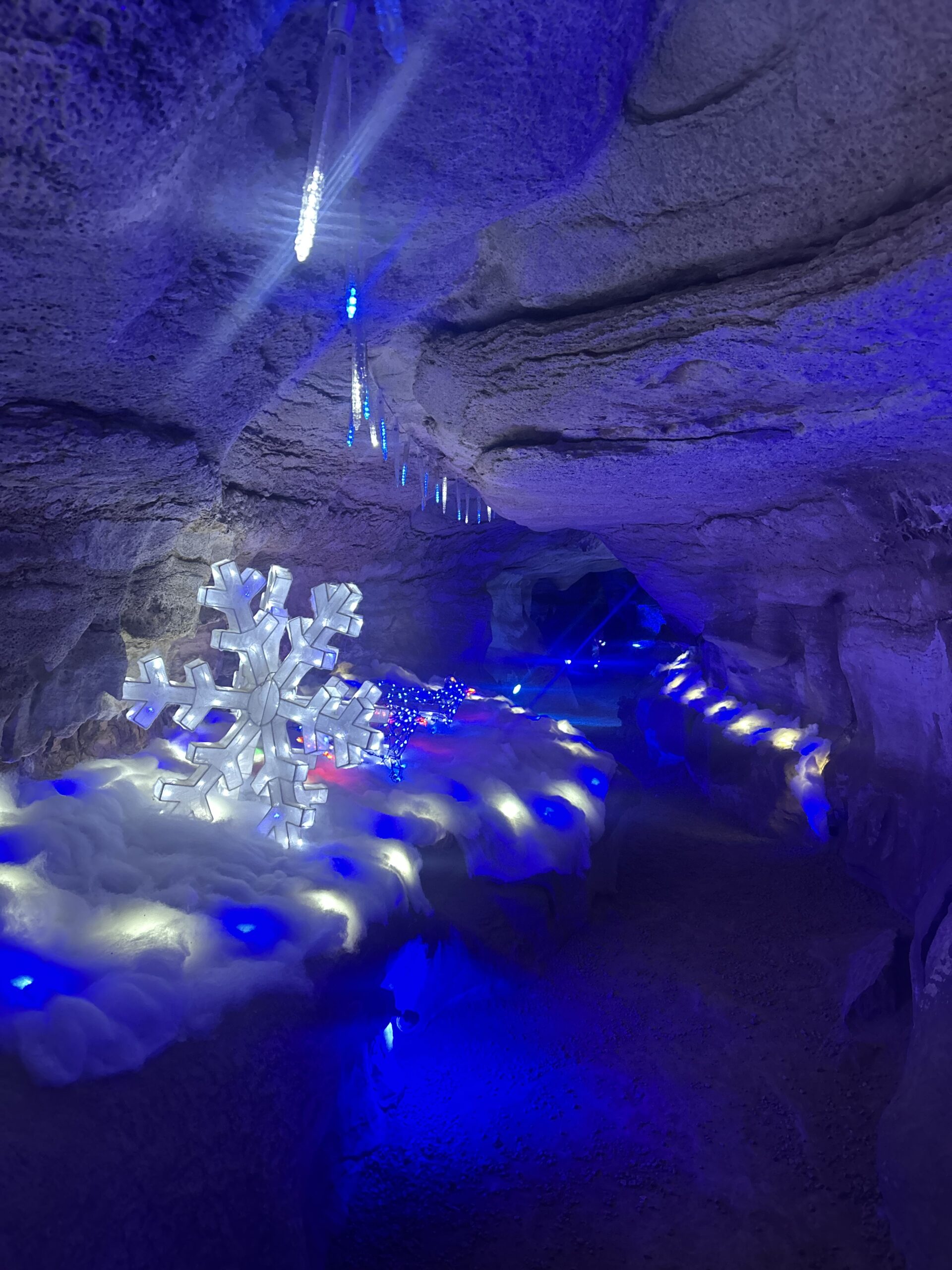 Explore Wonderland Under Warrior at Rickwood Caverns 