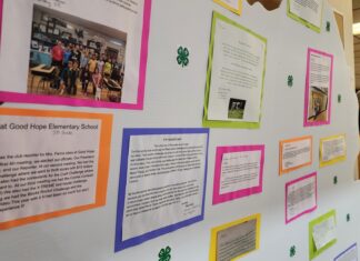 Voices of 4-H: Young reporters share their journeys