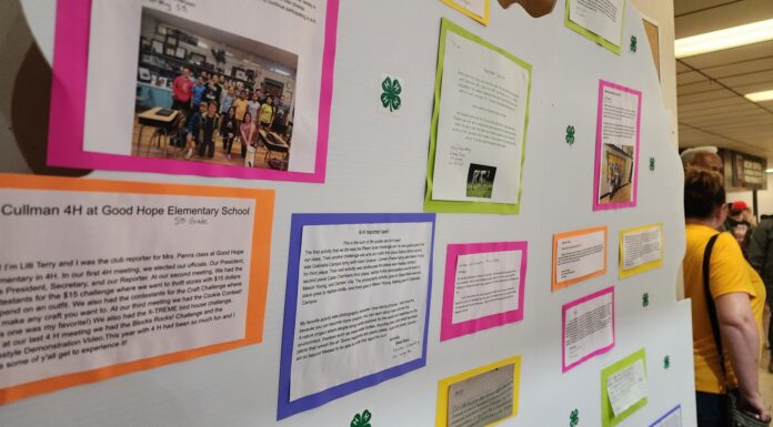 Voices of 4-H: Young reporters share their journeys