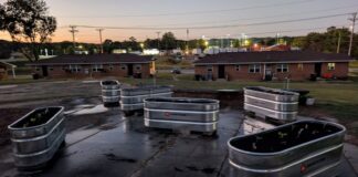 Cullman Housing Authority celebrates 2nd community garden