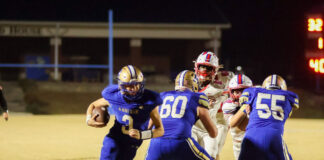 PREP FOOTBALL PLAYOFFS: No. 6 Addison rolls past Berry 39-6 to advance