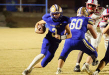 PREP FOOTBALL: Addison headlines all-state football selections with four players, 1A Coach of the Year