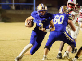 PREP FOOTBALL: Addison headlines all-state football selections with four players, 1A Coach of the Year