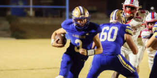 PREP FOOTBALL: Addison headlines all-state football selections with four players, 1A Coach of the Year