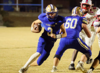 PREP FOOTBALL: Addison headlines all-state football selections with four players, 1A Coach of the Year