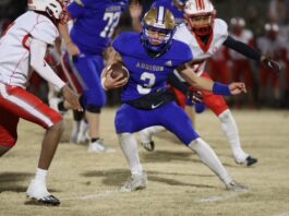 PREP FOOTBALL PLAYOFFS: No. 6 Addison’s postseason run ends with 22-14 loss to No. 1 Wadley