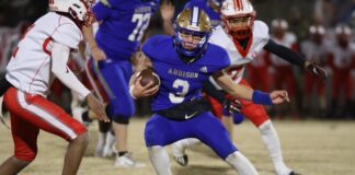 PREP FOOTBALL PLAYOFFS: No. 6 Addison’s postseason run ends with 22-14 loss to No. 1 Wadley