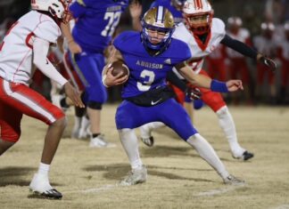 PREP FOOTBALL PLAYOFFS: No. 6 Addison’s postseason run ends with 22-14 loss to No. 1 Wadley