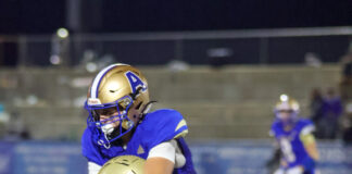 PREP FOOTBALL PLAYOFFS: No. 6 Addison advances with 71-39 win over Ragland