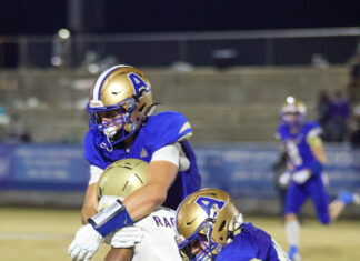 PREP FOOTBALL PLAYOFFS: No. 6 Addison advances with 71-39 win over Ragland