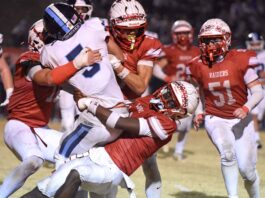 PREP FOOTBALL PLAYOFFS: No. 10 Good Hope falls to No. 5 Plainview in quarterfinals 28-7