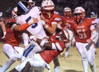 PREP FOOTBALL PLAYOFFS: No. 10 Good Hope falls to No. 5 Plainview in quarterfinals 28-7