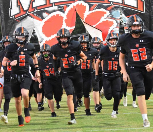 PREP FOOTBALL PLAYOFFS: Meek falls to No. 1 Wadley 52-8