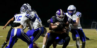 PREP FOOTBALL PLAYOFFS: No. 4 Fairview fends off Arab 14-7 to advance