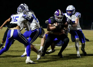 PREP FOOTBALL PLAYOFFS: No. 4 Fairview fends off Arab 14-7 to advance