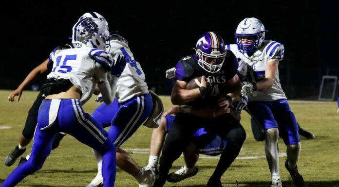 PREP FOOTBALL PLAYOFFS: No. 4 Fairview fends off Arab 14-7 to advance