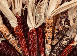 LIST: Local Thanksgiving meals