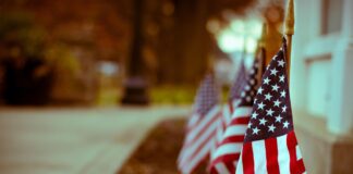 Veterans Day Ceremony and Luncheon set for Nov. 5 at OmniPlex