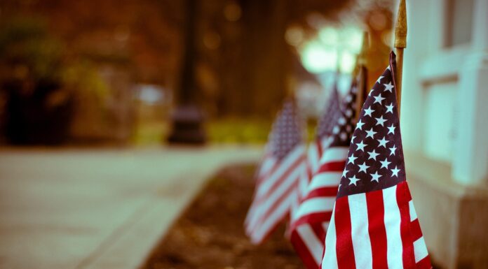 Veterans Day Ceremony and Luncheon set for Nov. 5 at OmniPlex