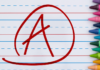 State Report Card: County, City school systems report highest grades in system histories