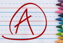 State Report Card: County, City school systems report highest grades in system histories