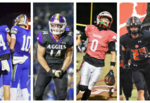 PREP FOOTBALL PLAYOFFS: Bulldogs, Aggies, Raiders, Tigers gearing up for 2nd round matchups The Addison Bulldogs, Fairview Aggies, Good Hope Raiders and Meek Tigers will all play Friday night. (Brandon Evans, Katie Drummond, Howard Cole and Mike Witcher)