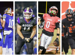 PREP FOOTBALL PLAYOFFS: Bulldogs, Aggies, Raiders, Tigers gearing up for 2nd round matchups The Addison Bulldogs, Fairview Aggies, Good Hope Raiders and Meek Tigers will all play Friday night. Â (Brandon Evans, Katie Drummond, Howard Cole and Mike Witcher)