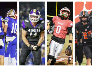 PREP FOOTBALL PLAYOFFS: Bulldogs, Aggies, Raiders, Tigers gearing up for 2nd round matchups The Addison Bulldogs, Fairview Aggies, Good Hope Raiders and Meek Tigers will all play Friday night. (Brandon Evans, Katie Drummond, Howard Cole and Mike Witcher)