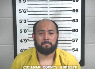 Vinemont man facing child pornography charges Omar Blas Hernandez (Cullman County Sheriff’s Office)