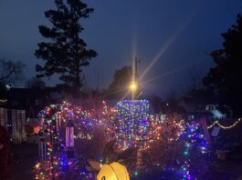 ‘Simple joy of being outdoors’: East Elementary Garden Club hosts Christmas celebration A reindeer inflatable and lights are seen in the East Elementary School outdoor classroom. The school’s Garden Club hosted a Christmas celebration on Dec. 5, 2025. (Anabelle Howze/The Cullman Tribune)