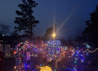 ‘Simple joy of being outdoors’: East Elementary Garden Club hosts Christmas celebration A reindeer inflatable and lights are seen in the East Elementary School outdoor classroom. The school’s Garden Club hosted a Christmas celebration on Dec. 5, 2025. (Anabelle Howze/The Cullman Tribune)