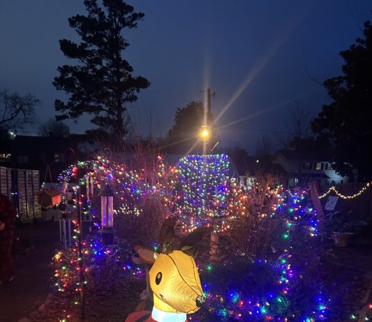 ‘Simple joy of being outdoors’: East Elementary Garden Club hosts Christmas celebration A reindeer inflatable and lights are seen in the East Elementary School outdoor classroom. The school’s Garden Club hosted a Christmas celebration on Dec. 5, 2025. (Anabelle Howze/The Cullman Tribune)