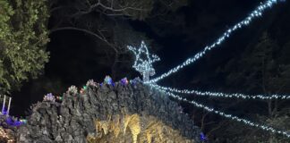 Christmas at the Grotto: ‘There’s something here that brings peace’