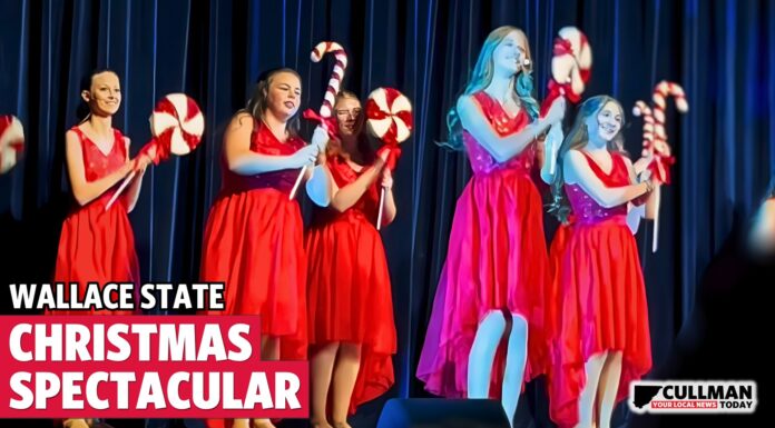 WSCC Christmas Spectacular thrills