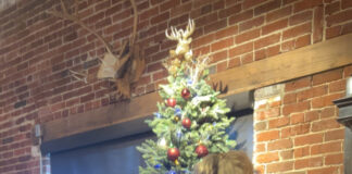 Santa and Mrs. Claus stop by Karma’s Coffee House Santa reads “The Christmas Story” at Karma’s Coffee House on Sunday, Dec. 7, 2025. (Anabelle Howze/The Cullman Tribune)
