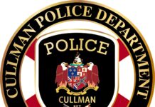 Cullman woman charged with financial exploitation of an elderly person