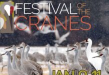 2026 Festival of the Cranes coming Jan. 9-11