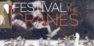 2026 Festival of the Cranes coming Jan. 9-11
