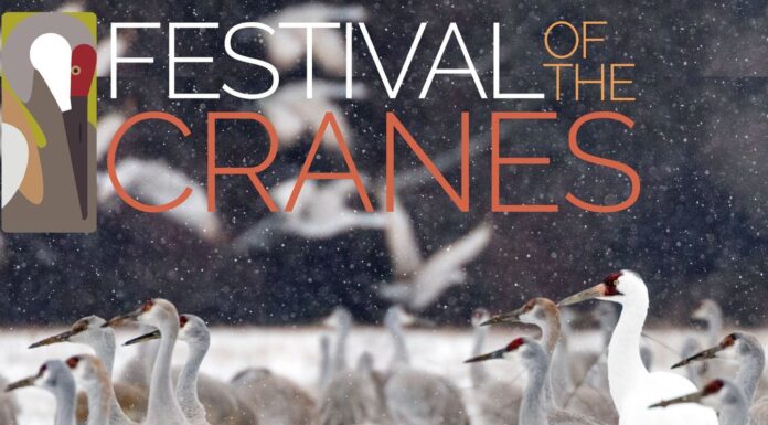 2026 Festival of the Cranes coming Jan. 9-11