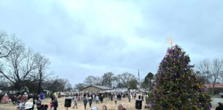 Falkville hosts 27th annual Christmas in the Park The Town of Falkville hosted its 27th annual Christmas in the Park event on Sunday, Dec. 7, 2025, at Jack McCaig Park. (Lauren Estes/The Cullman Tribune)