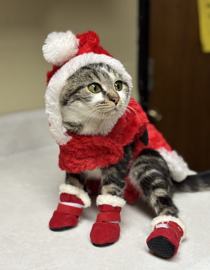 96962B21-41CB-46EA-98C7-637E0BCBA649(1)