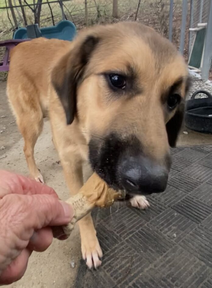 A169A99A-3A67-40F0-968C-16B20A585C32