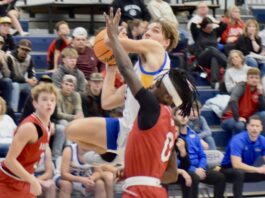 PREP BASKETBALL: Lady Raiders, Eagles notch county victories