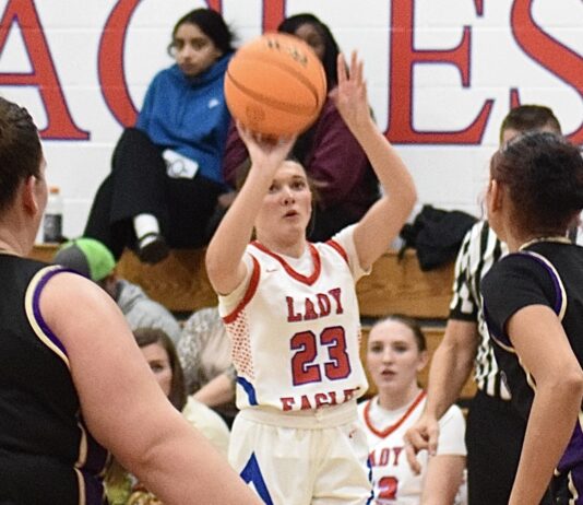 PREP BASKETBALL: Vinemont sweeps Hanceville at home