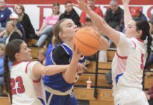 PREP BASKETBALL: Cold Springs collects road sweep over Vinemont