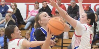PREP BASKETBALL: Cold Springs collects road sweep of Vinemont