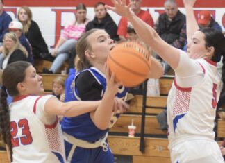 PREP BASKETBALL: Cold Springs collects road sweep of Vinemont