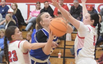 PREP BASKETBALL: Cold Springs collects road sweep of Vinemont